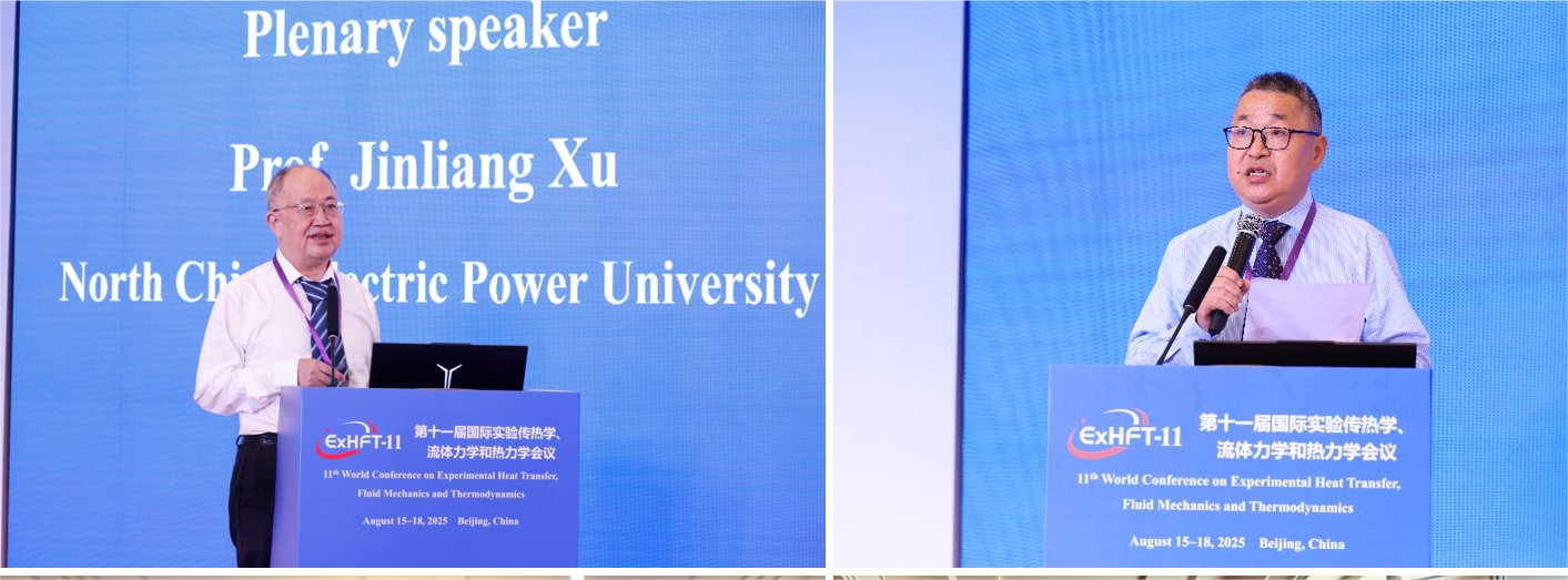 由bettor伟德官网最新版下载牵头